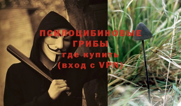 ПСИЛОЦИБИНОВЫЕ ГРИБЫ Богданович
