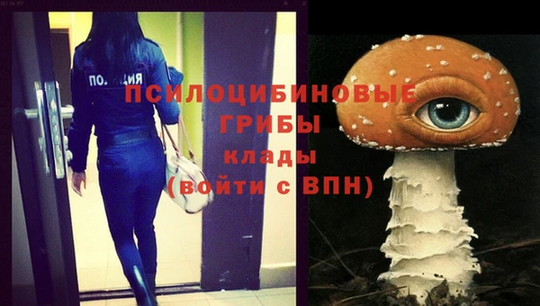 герыч Богородицк