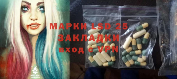 ПСИЛОЦИБИНОВЫЕ ГРИБЫ Богданович